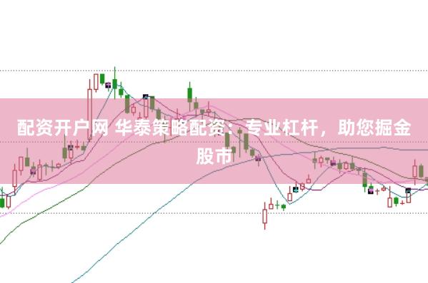 配资开户网 华泰策略配资:专业杠杆,助您掘金股市