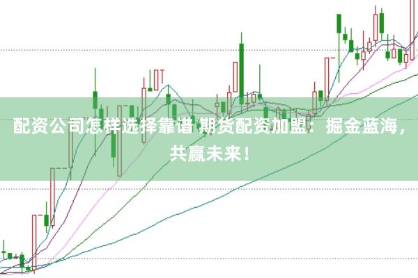 配资公司怎样选择靠谱 期货配资加盟:掘金蓝海,共赢未来!