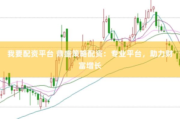 我要配资平台 鼎盛策略配资：专业平台，助力财富增长