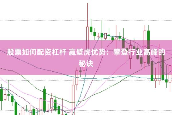 股票如何配资杠杆 赢壁虎优势:攀登行业高峰的秘诀