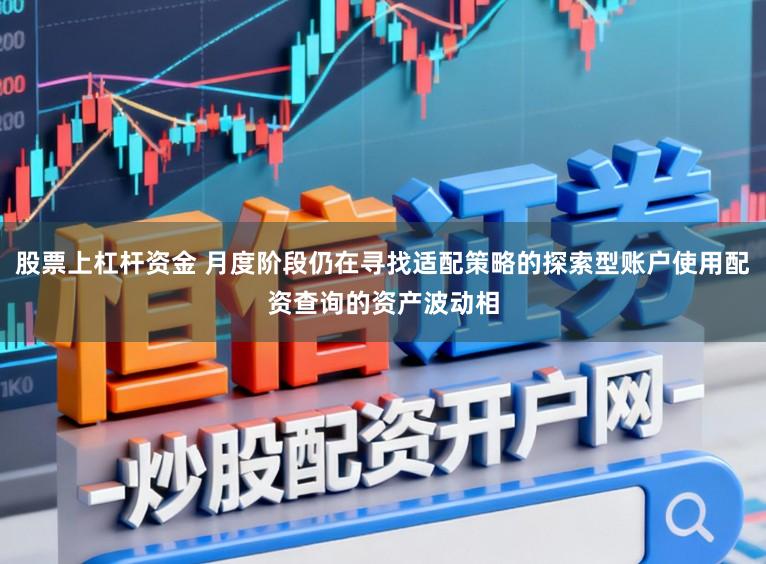 股票上杠杆资金 月度阶段仍在寻找适配策略的探索型账户使用配资查询的资产波动相