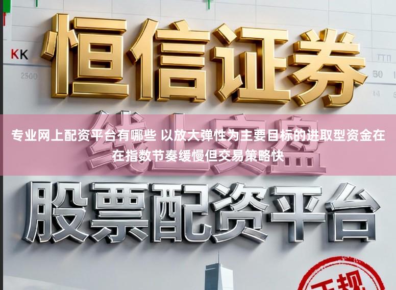 专业网上配资平台有哪些 以放大弹性为主要目标的进取型资金在在指数节奏缓慢但交易策略快