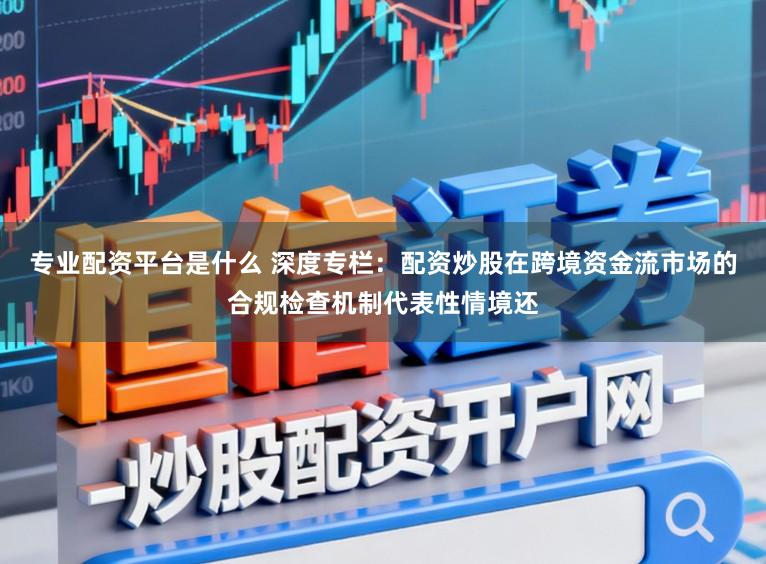 专业配资平台是什么 深度专栏：配资炒股在跨境资金流市场的合规检查机制代表性情境还