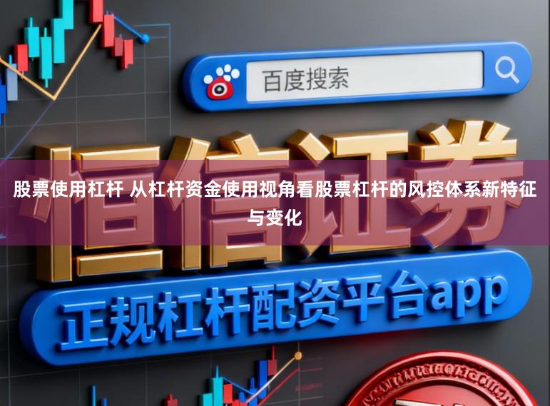 股票使用杠杆 从杠杆资金使用视角看股票杠杆的风控体系新特征与变化