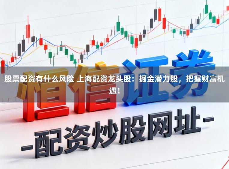 股票配资有什么风险 上海配资龙头股：掘金潜力股，把握财富机遇！